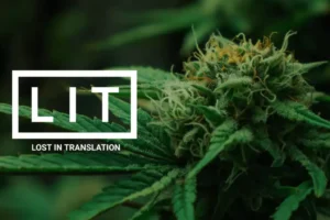 LIT Farms THCA Flower